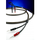 Chord EpicX speaker cable terminated pair valmis kõlarikaabel